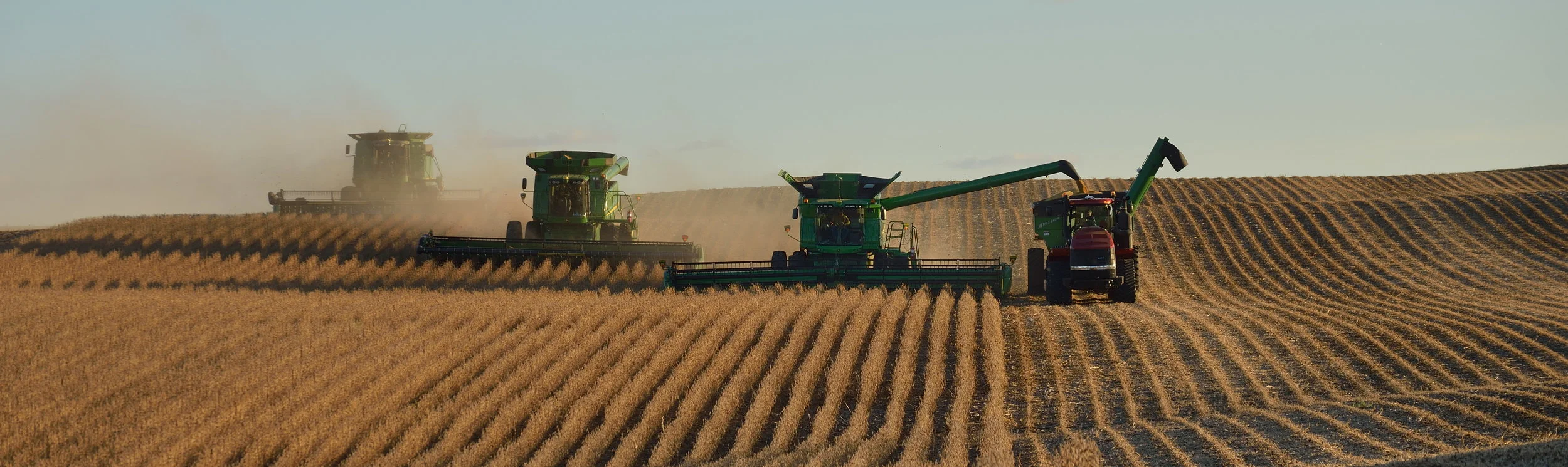 Soybean Harvest, North Dakota