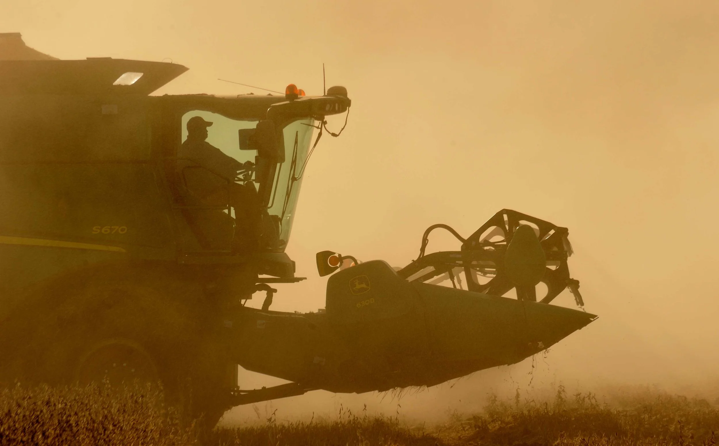 Soybean Harvest, Mississippi