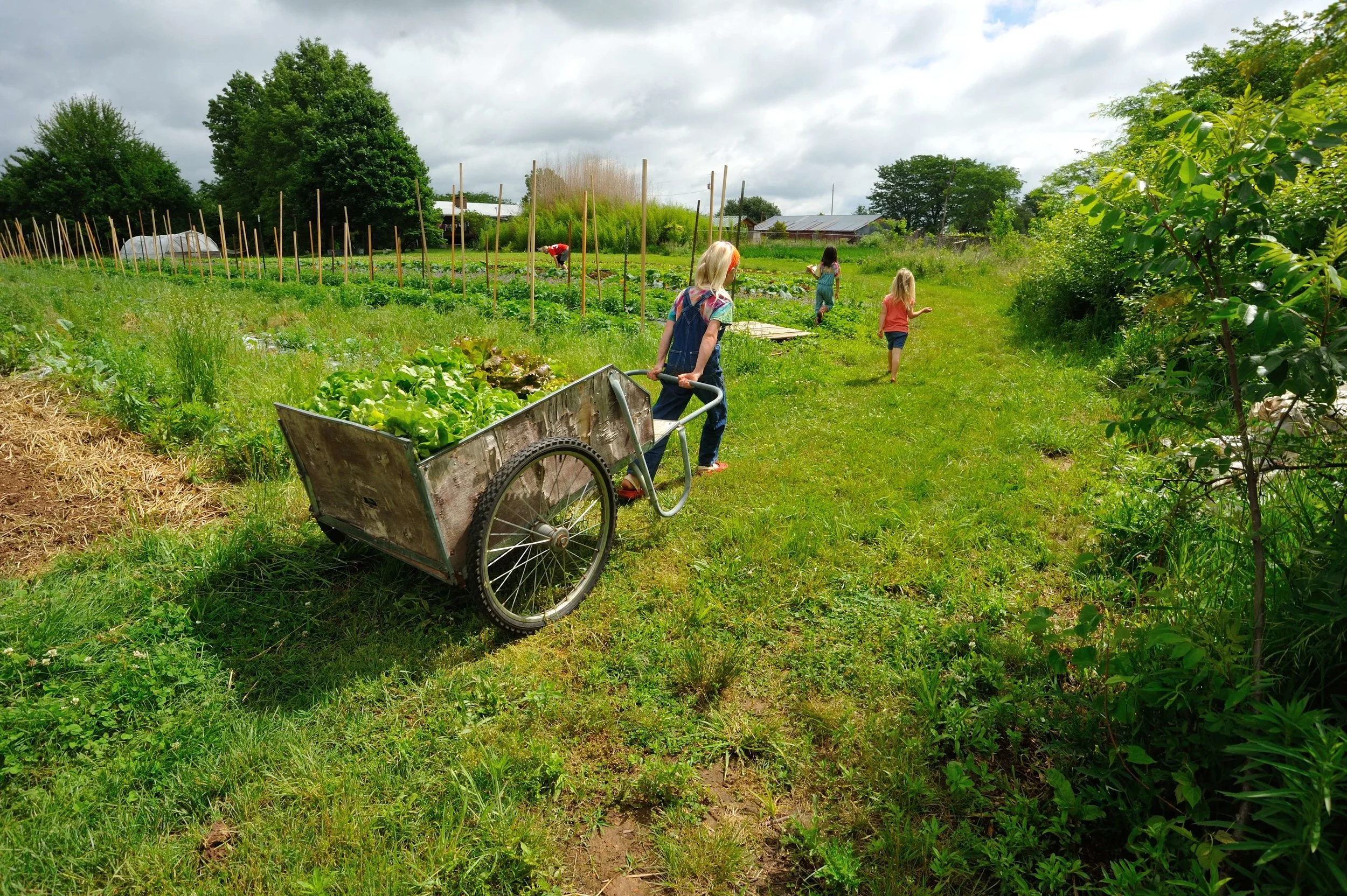 Organic Farmers, Missouri