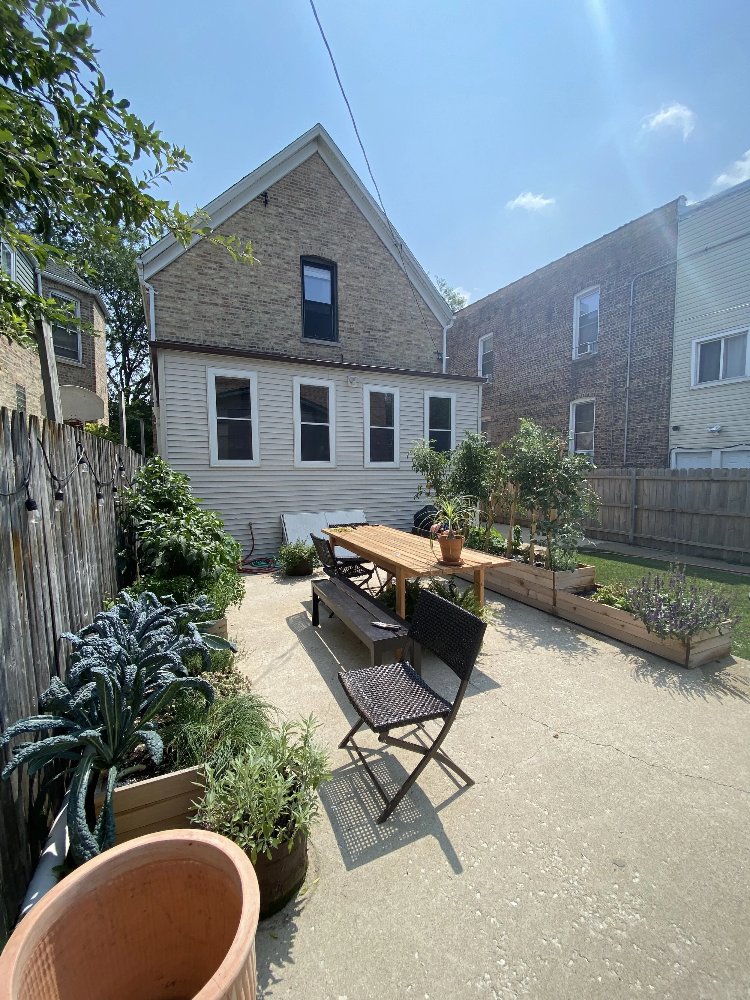  My backyard garden. It’s taught me the power of observation and that out-of-season tomatoes are trash.  
