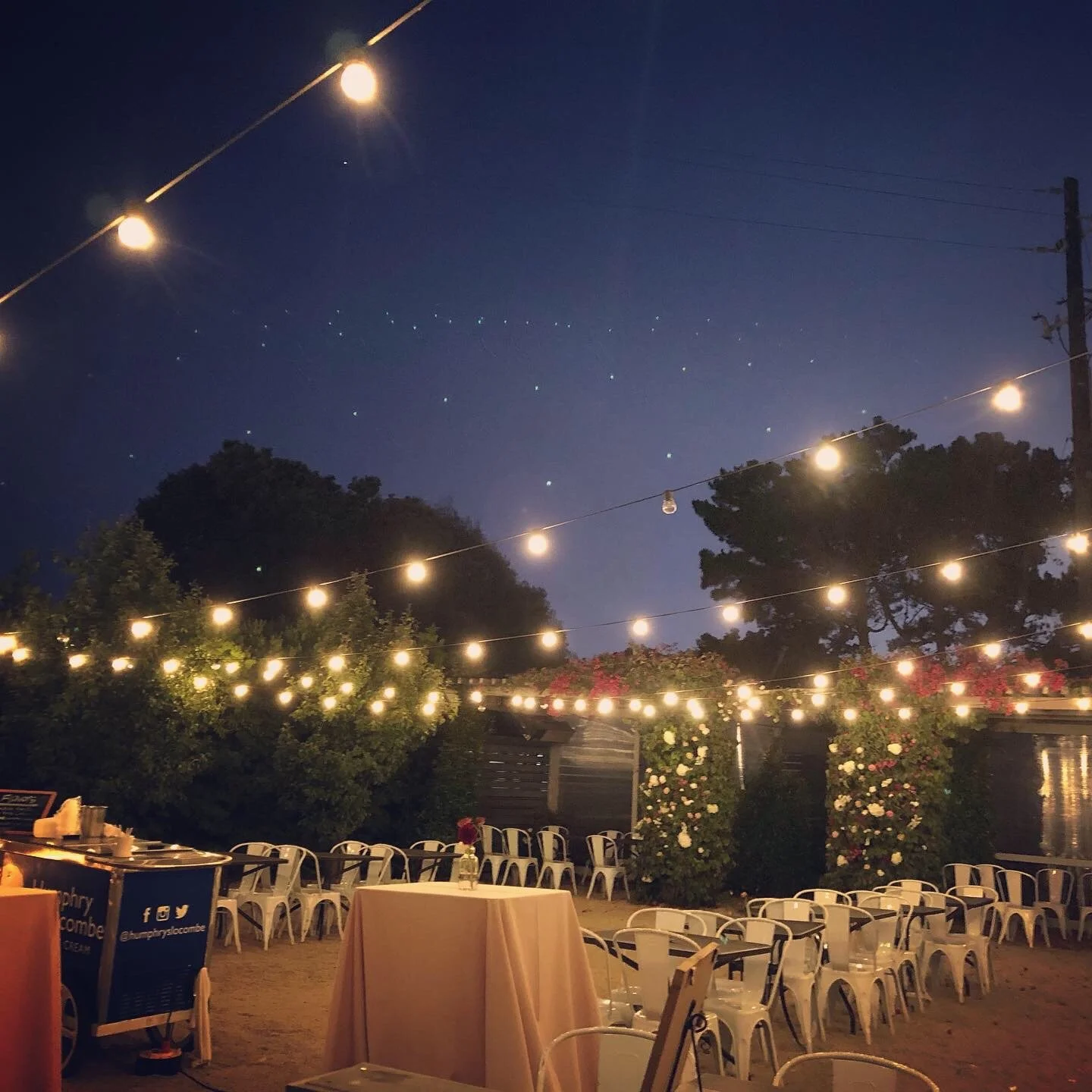 9895B3AF-DAE8-4BF9-B9D2-B98F2350D769 2.JPG