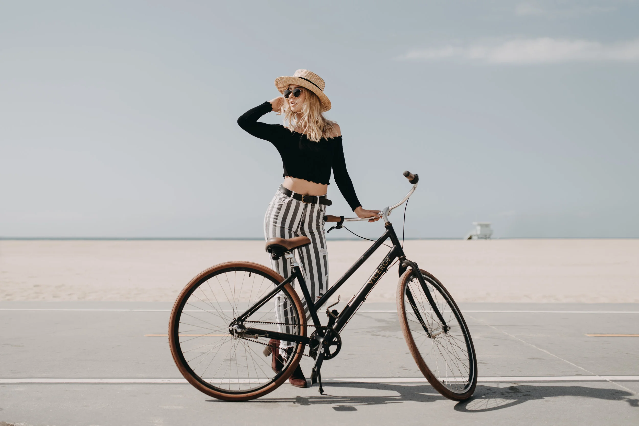 ViceroyBike.jpg