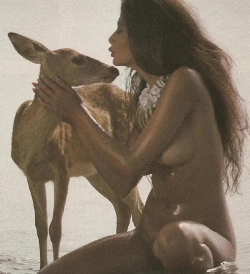 There&rsquo;s just something about deer..