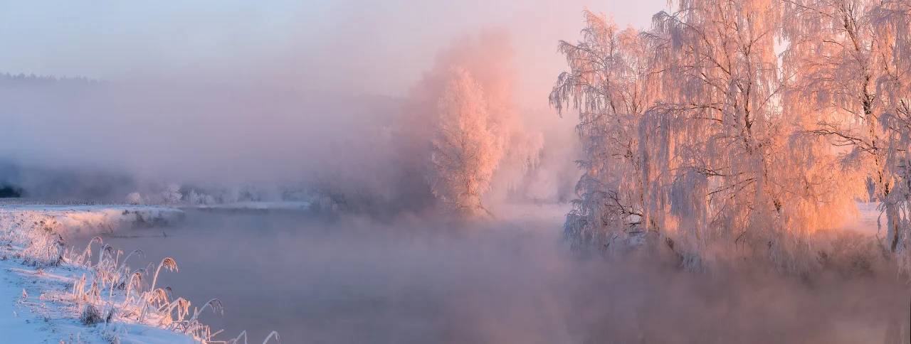 tumblr_nywpwxe8i51qzkgllo4_1280.jpg
