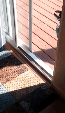 tumblr_nblap7bL5y1sxqyhyo1_250.gif