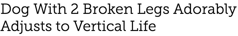 tumblr_nblap7bL5y1sxqyhyo3_1280.png
