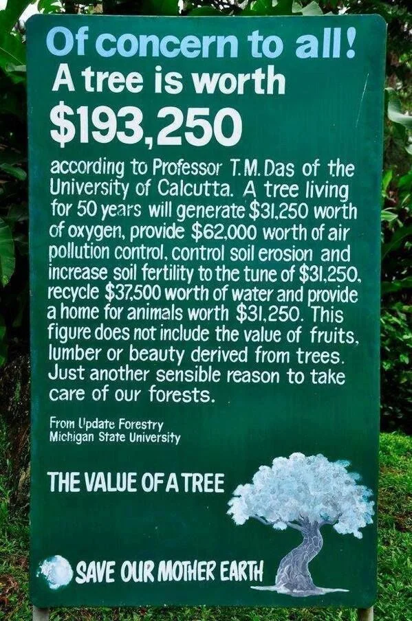 questionall:

Thanks to Trust me I’m an Eco designer on Tsu.co


I&rsquo;m going to start planting trees everywhere I can.