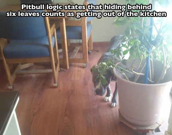tumblr_n9skyhWnQB1qzcv7no3_640.jpg