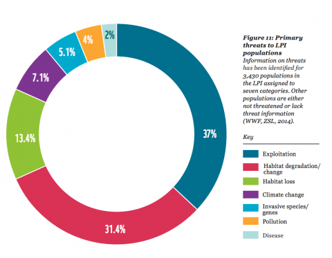 washingtonpost:

We’ve killed off half the world’s animals since 1970.