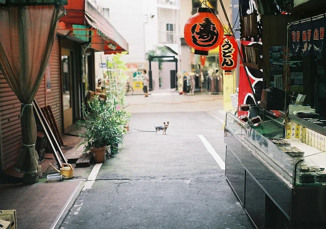 heartisbreaking:

untitled by *dapple dapple on Flickr.

Jax, what&rsquo;re you doing in Japan?