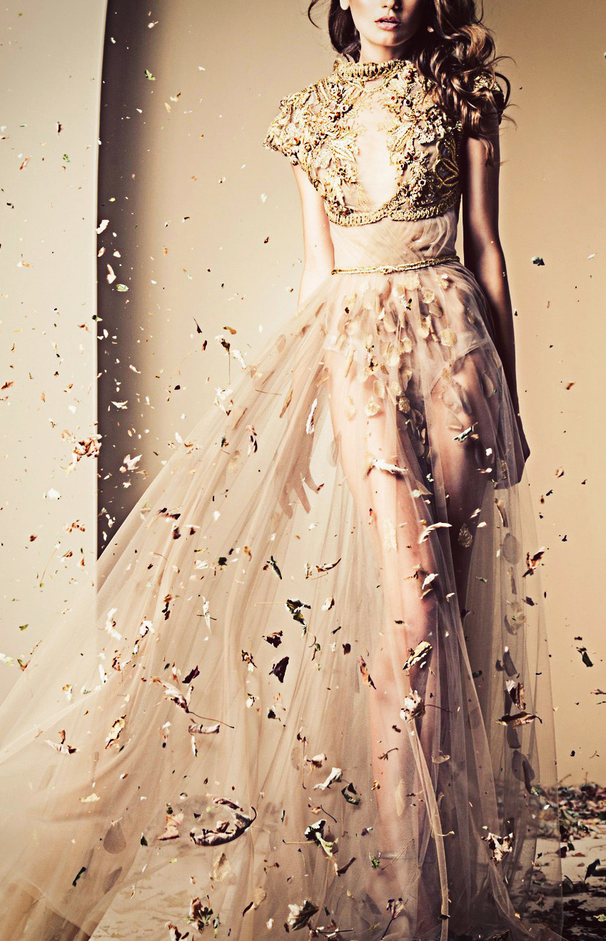 fuckyeahfashioncouture:

Ziad Nakad Haute Couture Fall-Winter 2014

Yes, please. 