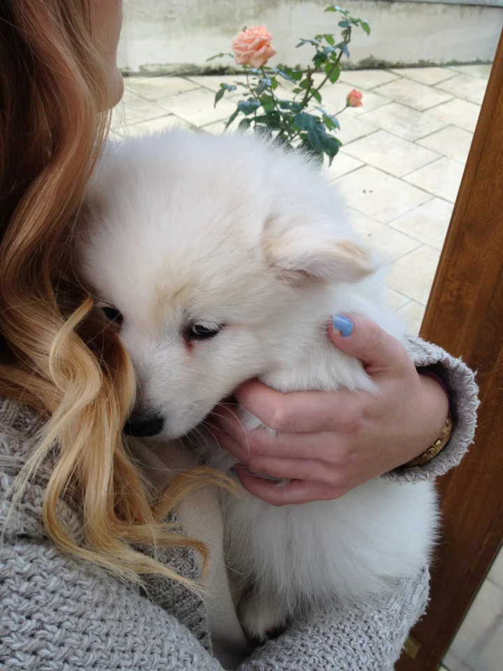 Ahh! Looks like Ghost :)