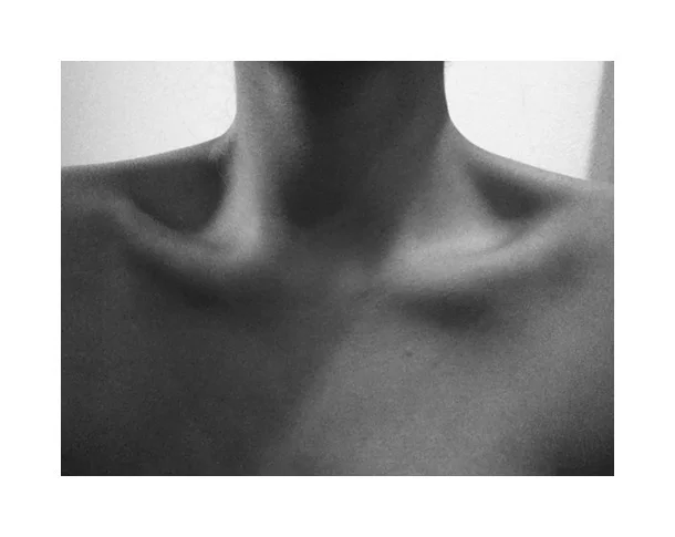 Collar bones.