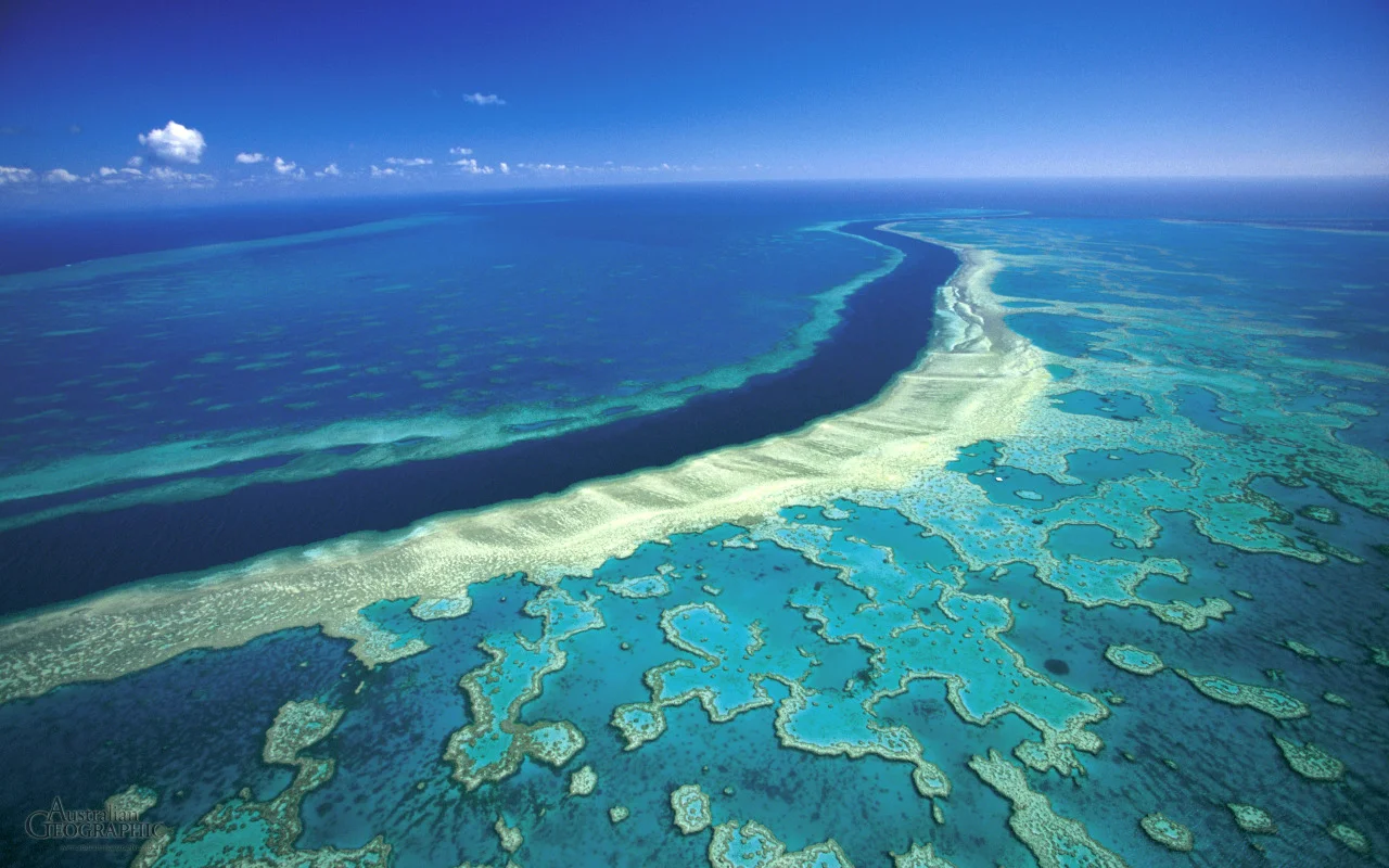 innovativegreenliving:

Did You Know: The Great Barrier Reef is the world’s Largest coral reef system. The reef is located in the Coral Sea, off the coast of Queensland in northeast Australia. The Great Barrier Reef can be seen from orbit and is the…