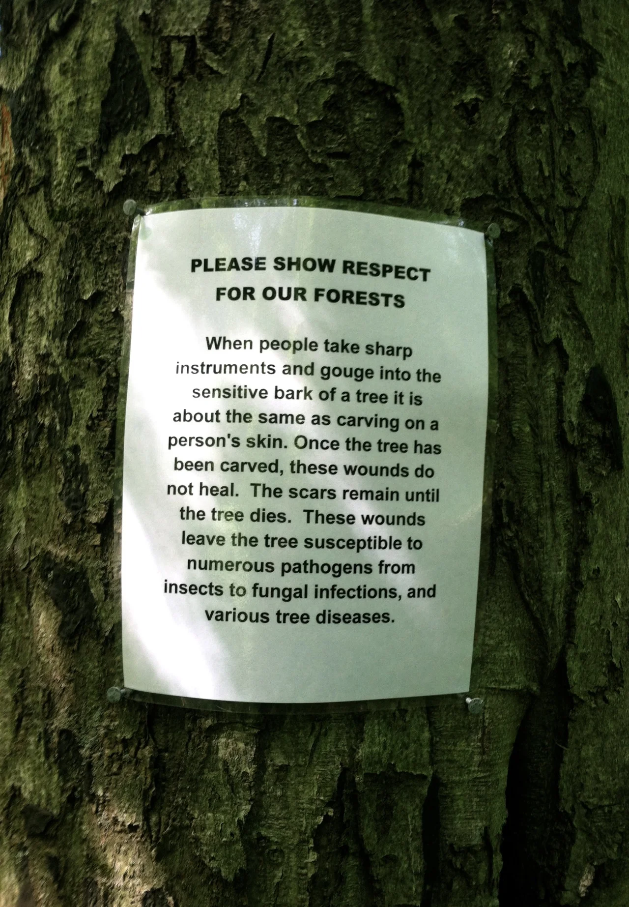 Save the trees! They&rsquo;re alive too.