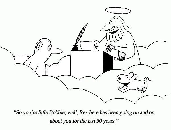 alldreamersunderstand:

coolfrikkinbeans:



So many feels right now.
I&rsquo;m seriously looking forward to and also dreading the next decade. I don&rsquo;t know if I could handle anything like this. :(