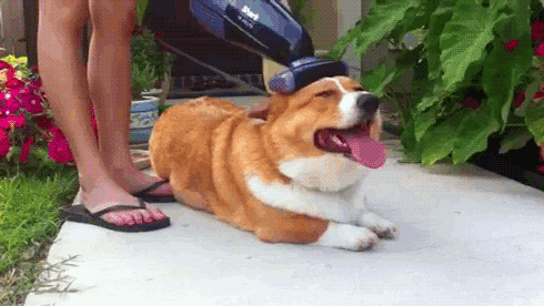 tumblr_m2j1n9uHml1qzizmho2_500.gif