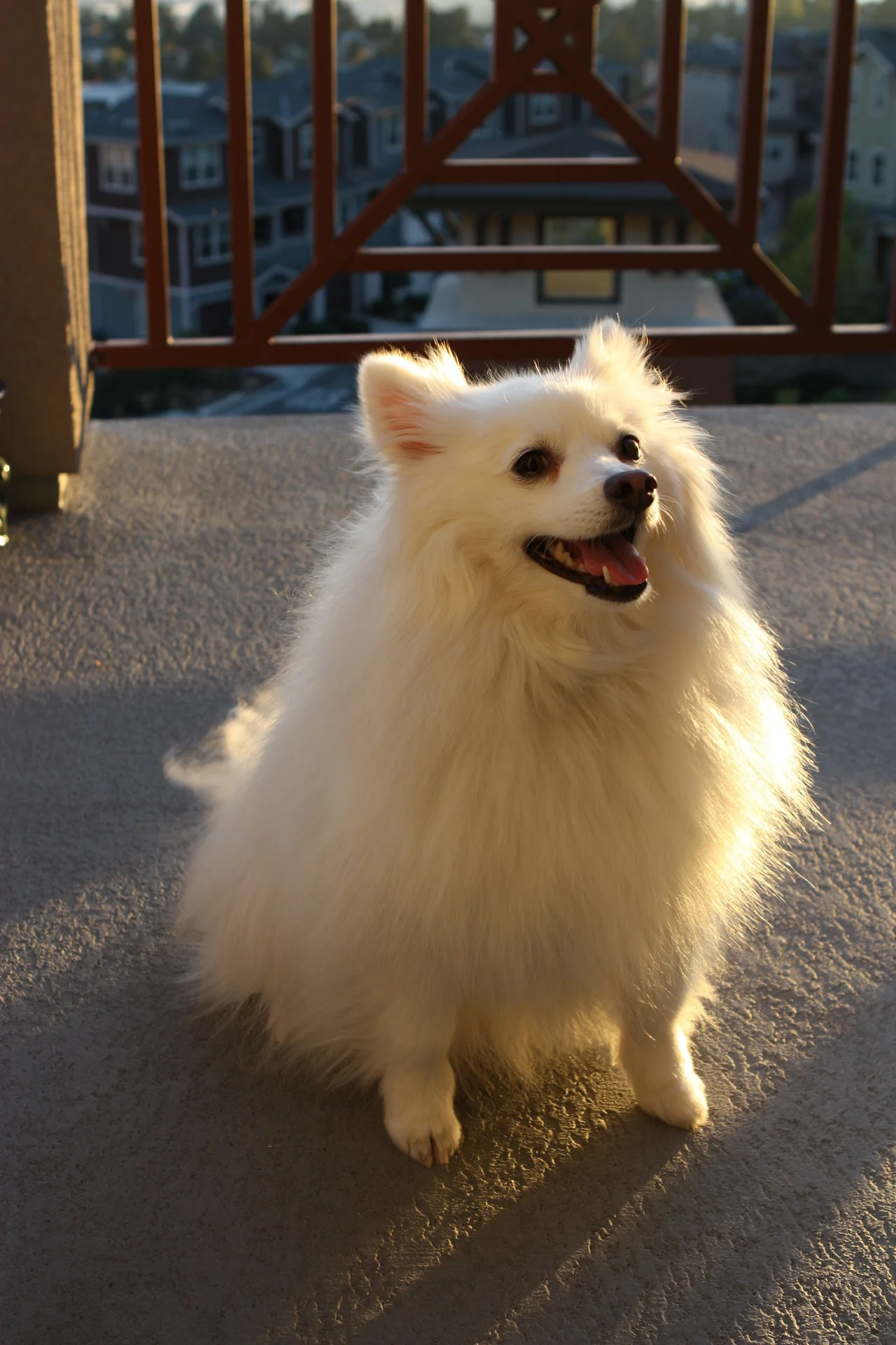 My best friend.
<3
