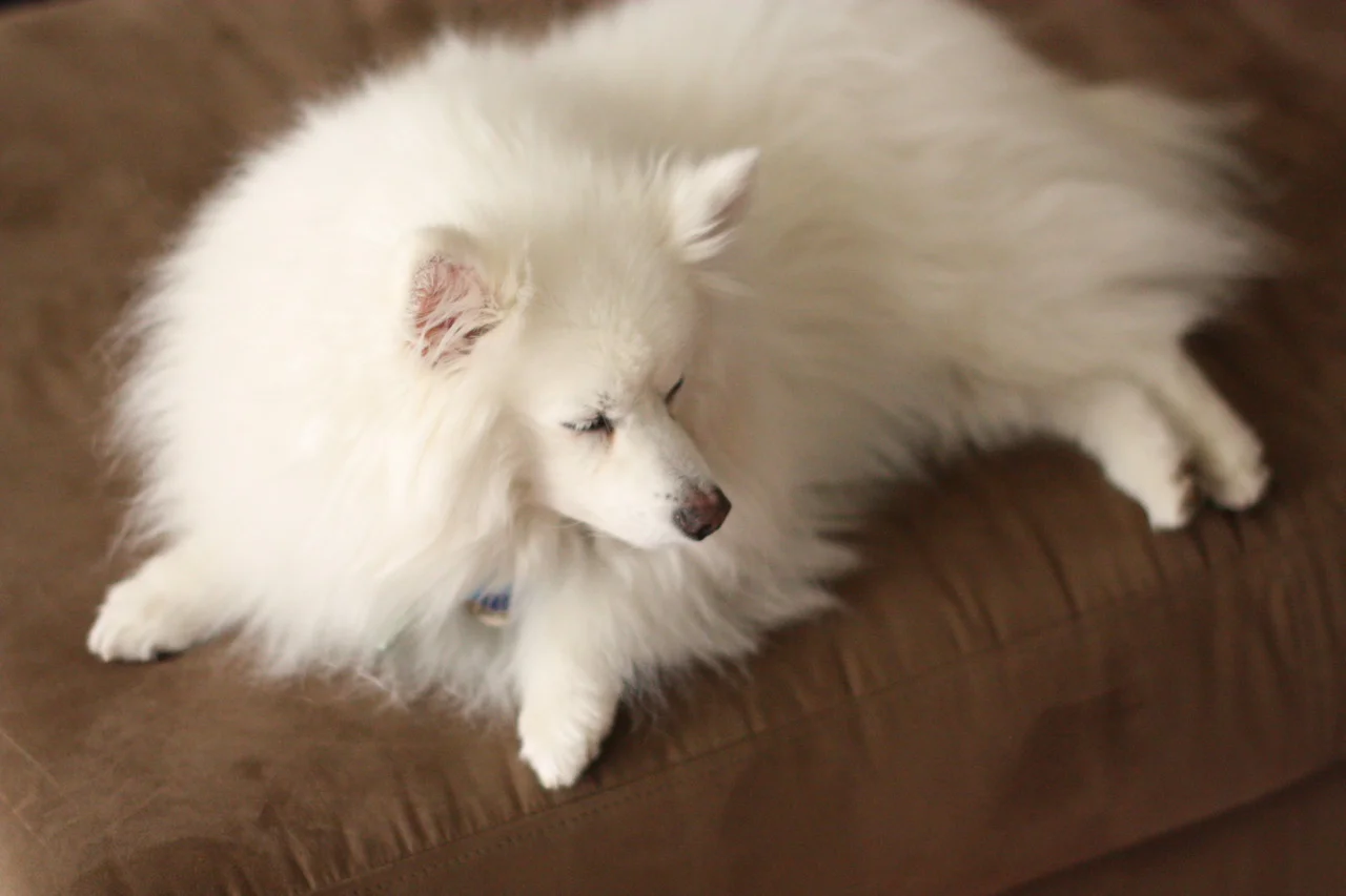 sleepy, sleepy choo choo :)