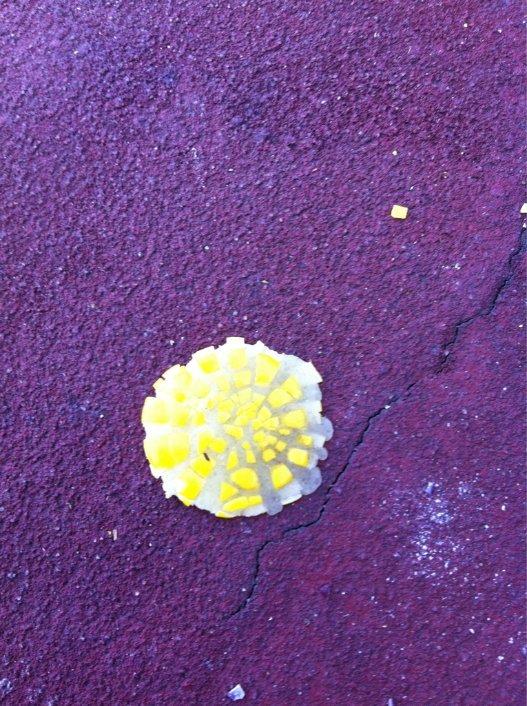 Squished skittle.

Skittles are so sweet.

I&rsquo;m so over this lifestyle, been there done that. Tried this, smoked that. Of course, once in a while getting a drink and dancing to a song or two are perfect stress-relievers. But I want to move on t…