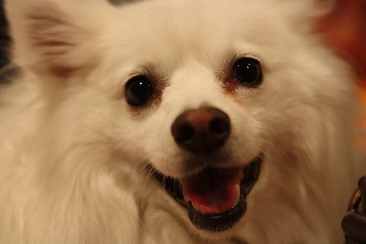 I miss my dog, she made things a lot simpler.
If you didn&rsquo;t run away and sign off, I would have been able to say this to your face. Too bad you&rsquo;re too much of a coward to face your own consequences. As much as you harp about you understa…