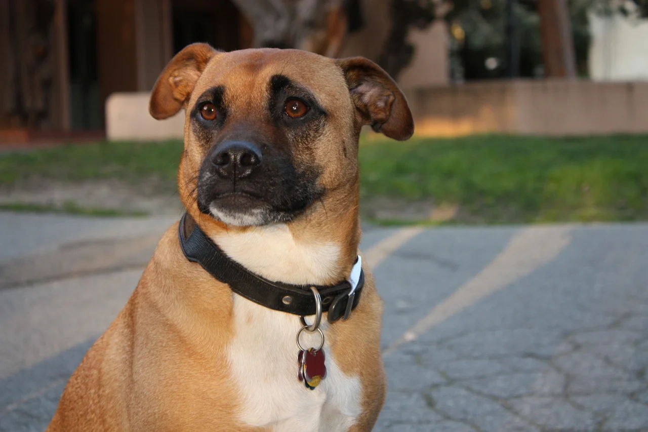 Time for another reflection on life.
And my first problem: money. God, I really need to save the money I work to earn! I have blown so much moolah on food and movies, I really need to watch my bank account. I feel like hundreds of dollars have just …