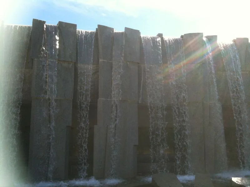 Yerba buena.