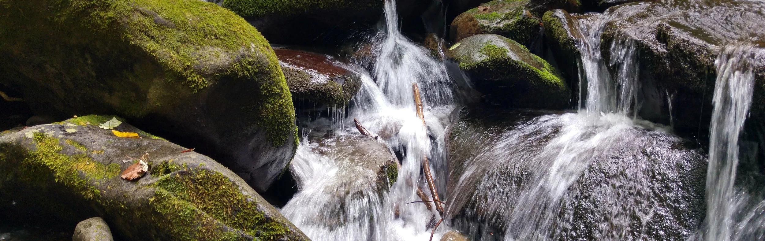 rivulet stream.jpg