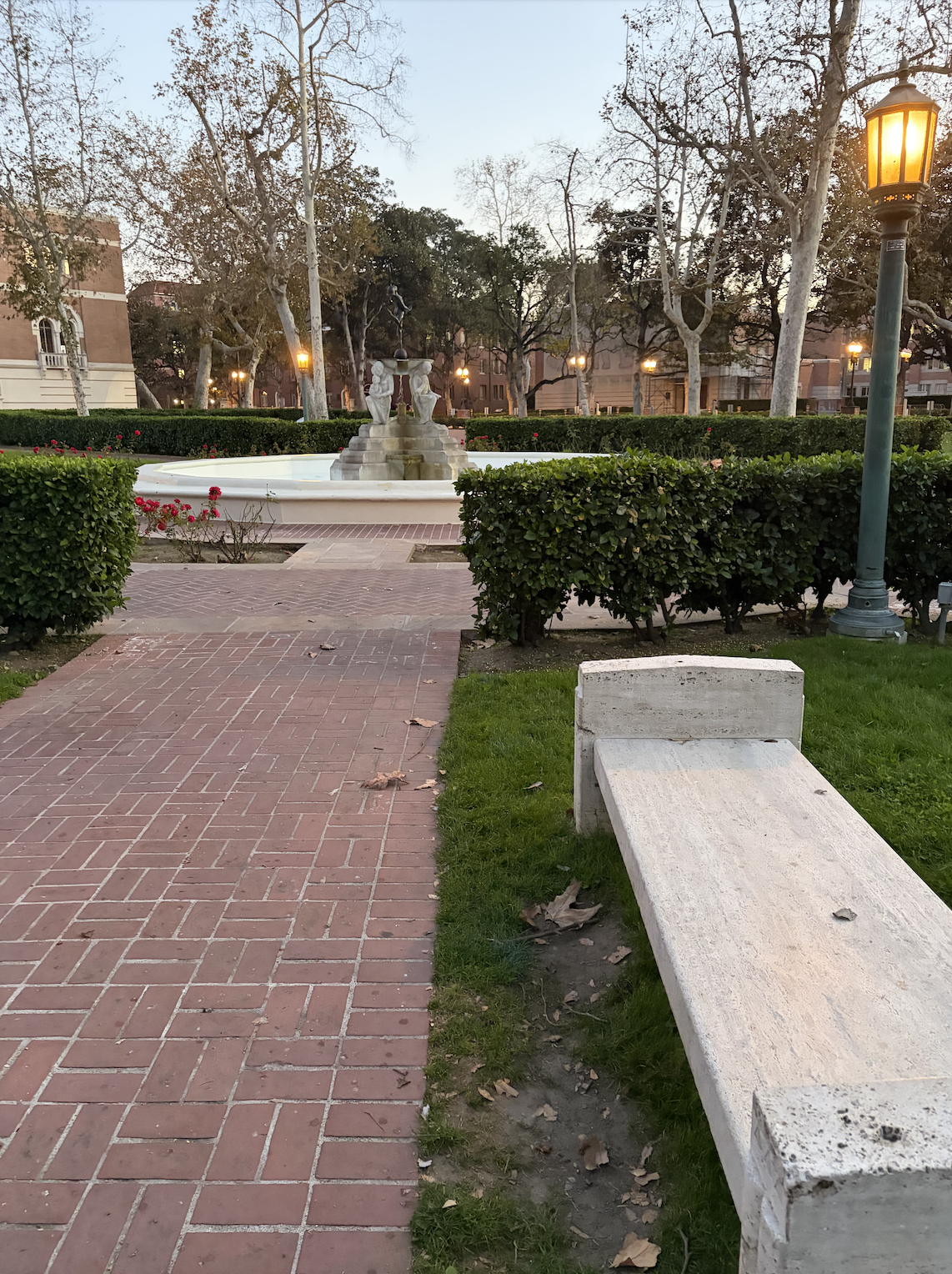 My Go-To Study Spots on Campus