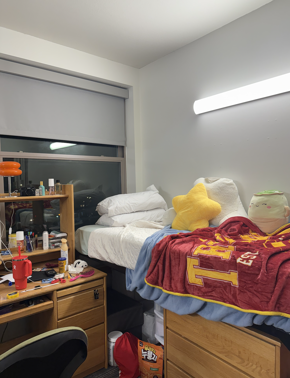 Dorm Life: What It’s Really Like Living on Campus