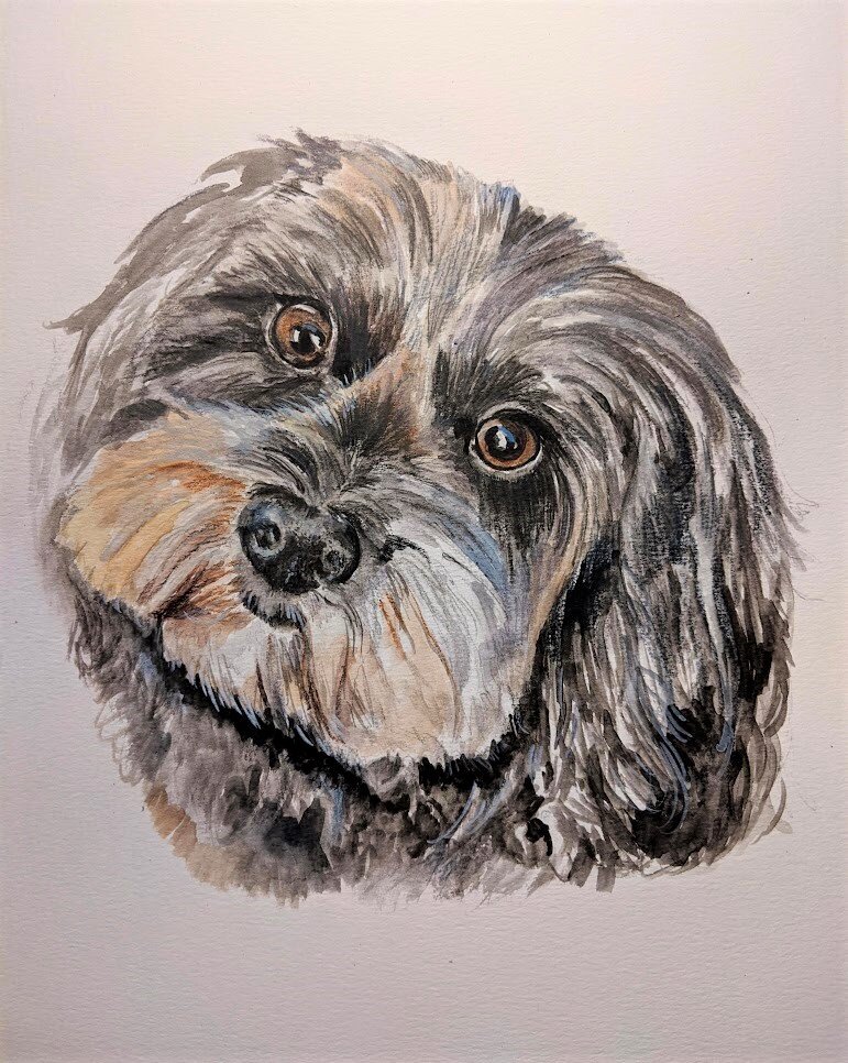 Custom Pet Portrait In Pastel, Realistic Drawing From Photo
