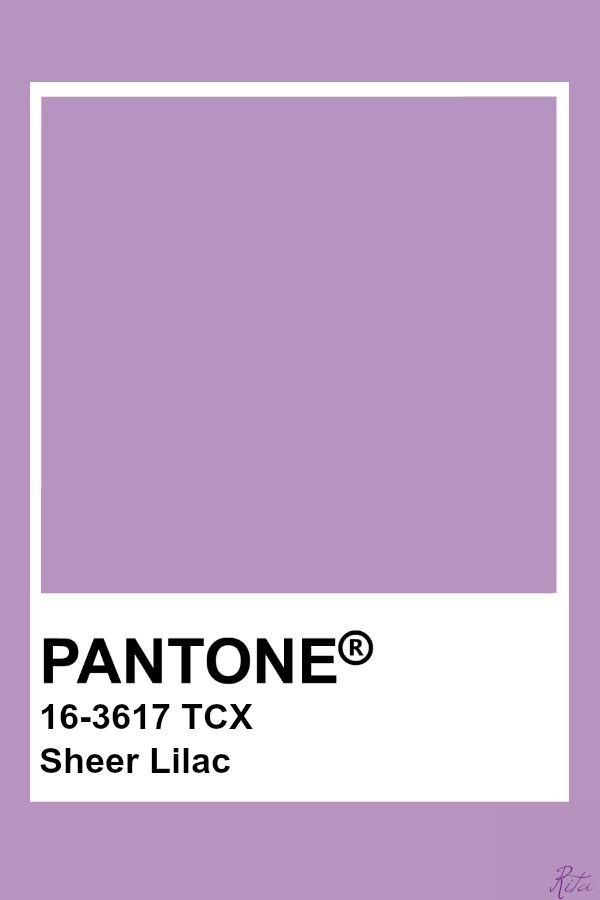 sheer lilac pantone.jpg