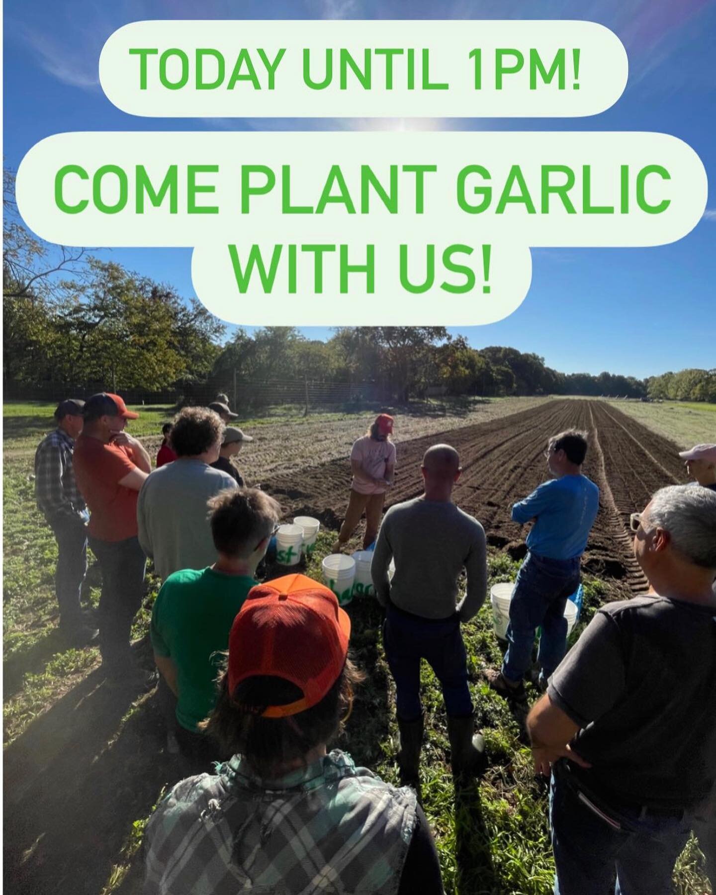 Help us plant our 2024 garlic crop and have fun doing it! 
Our dear friend @bennettkonesni is here to lead us in traditional call and response style songs to help keep spirits high as we get the job done! 
It&rsquo;s a vibe.  Come check it out!