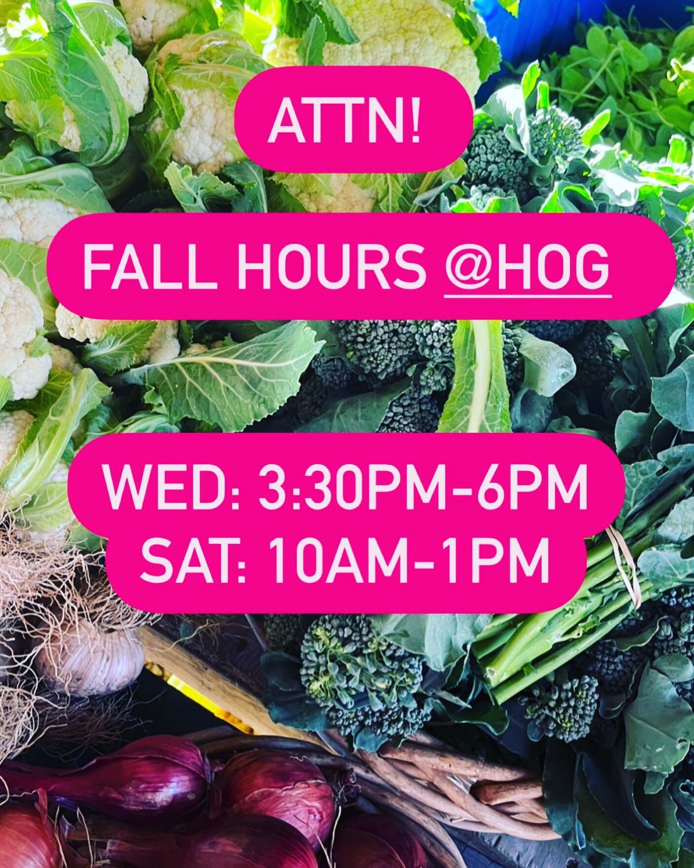 Fall hours are now in effect! Thanks for another great season at the HOG! 
As temperatures drop and day light hours dwindle it&rsquo;s time for the farmers to prepare the land (and themselves) for a well deserved rest. There&rsquo;s still lots to do 