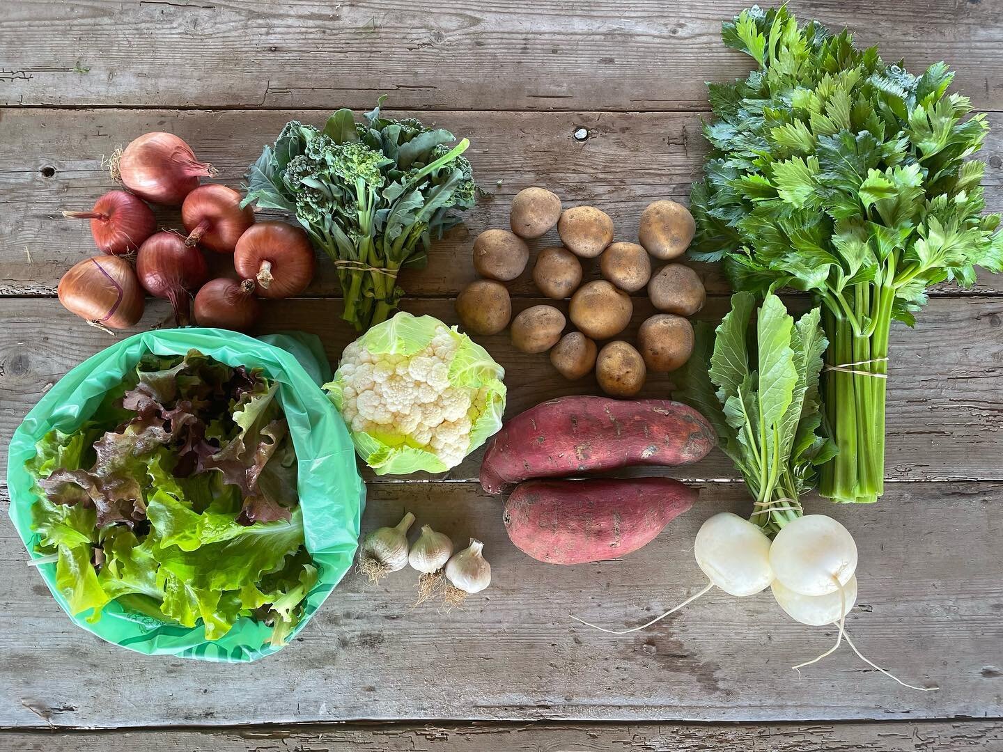 2 weeks until the start of our 2023 Fall CSA! Join us this Fall and receive 5 pickups of some of the finest veggies around. Grown with love and the persistent pursuit of healthy food, healthy land and healthy people ✌🏼Visit our website or click the 