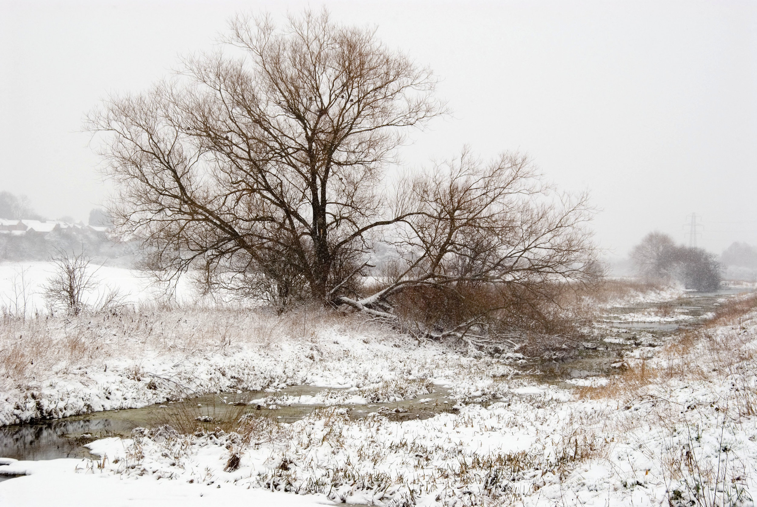 Snow in Northampton
