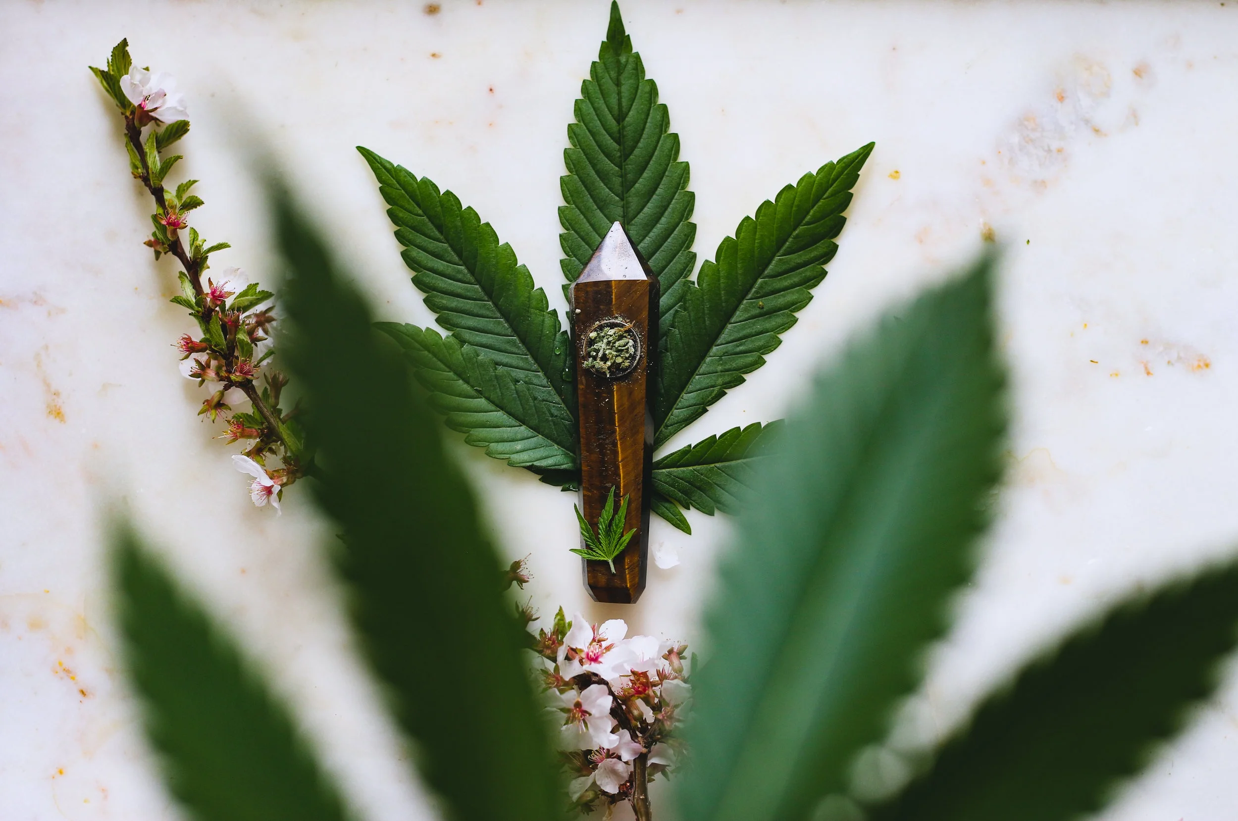 How Your Blog Can Benefit From A CBD Content Writer
