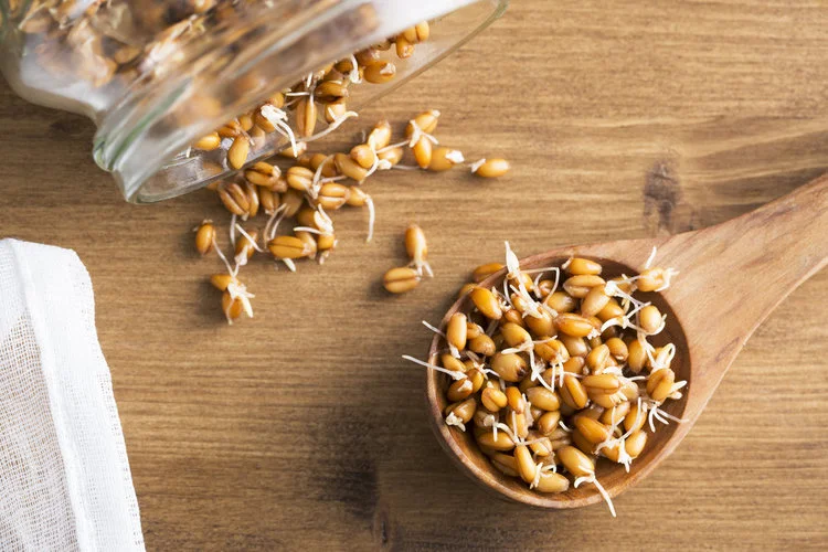 sproutedwheat.jpg