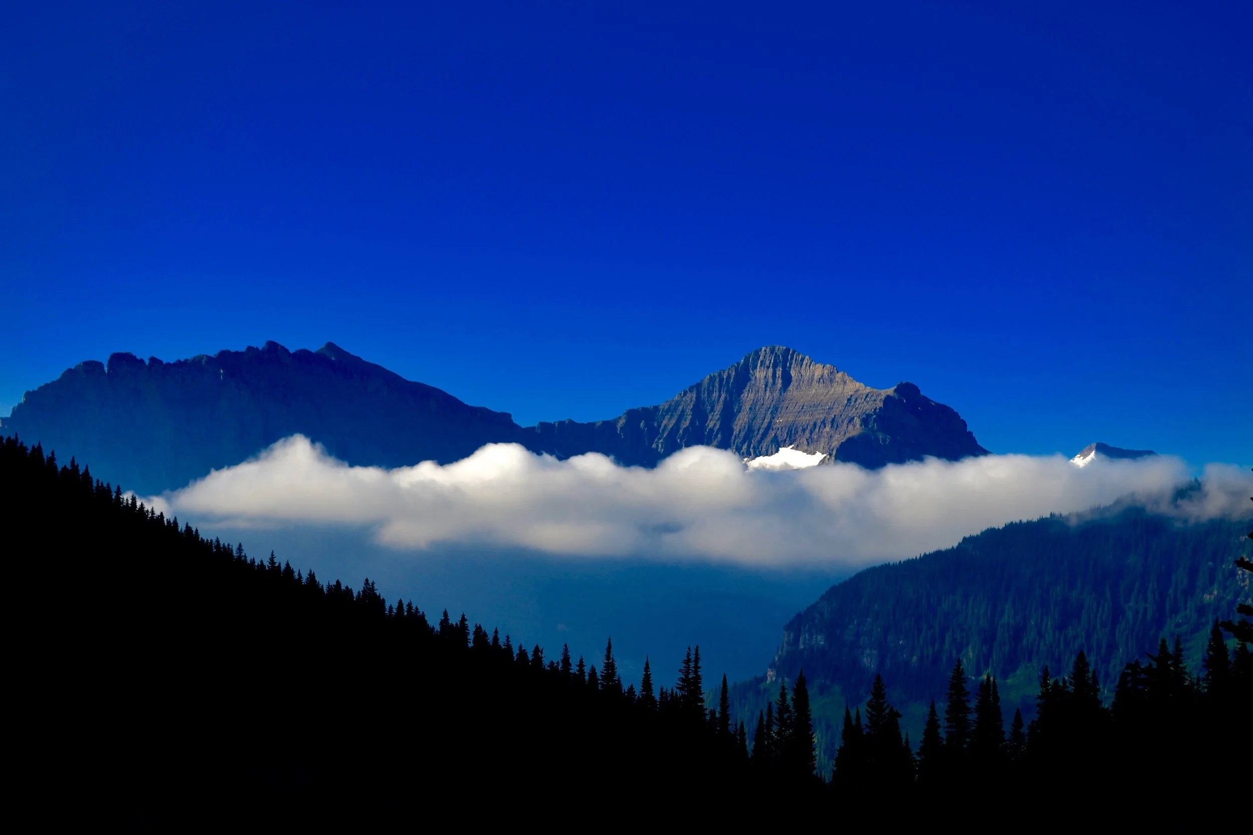 DSC_0142.jpg