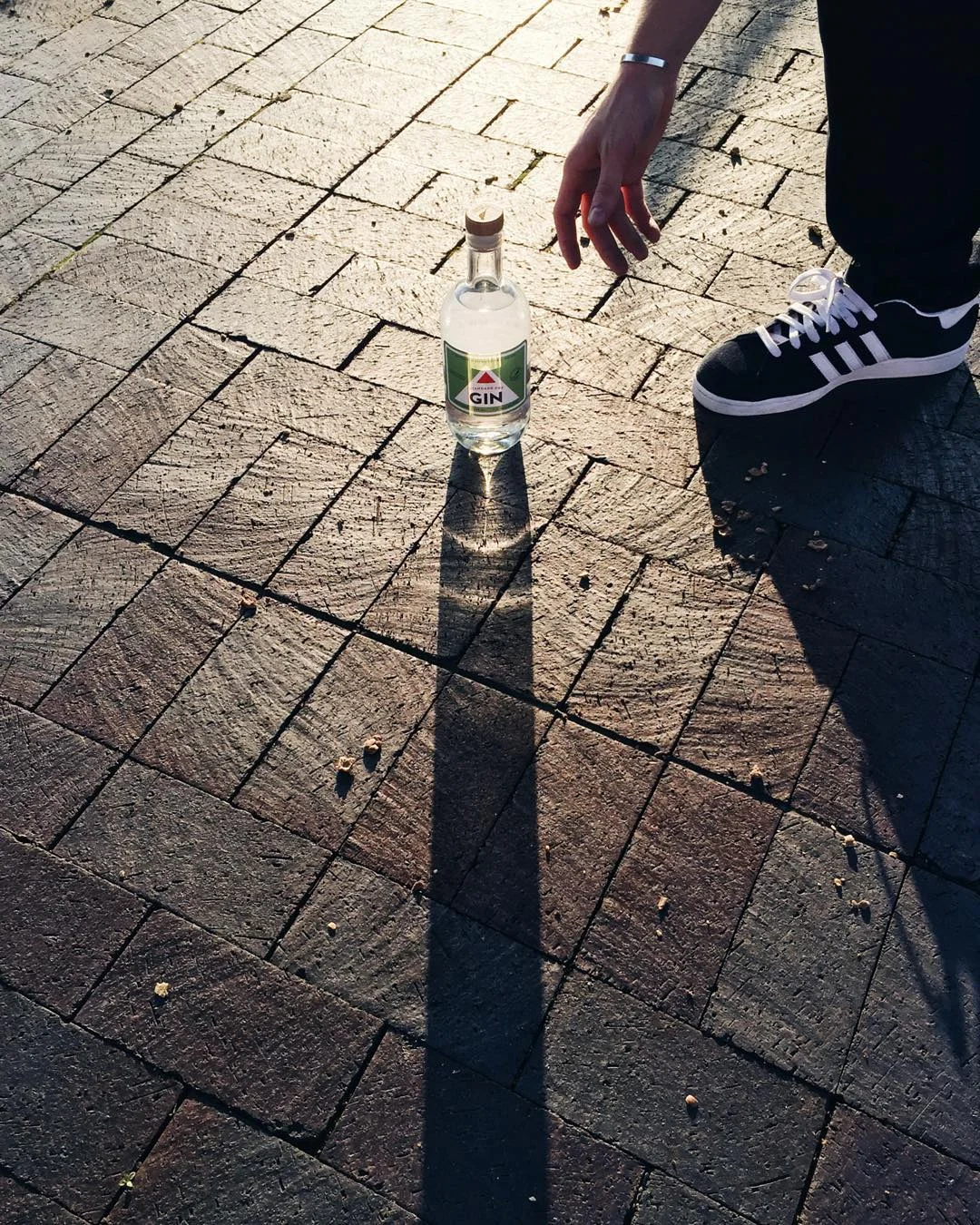 Griswold-Cardinal-Spirits-Bloomington-Indiana-Alcohol Gin.jpg