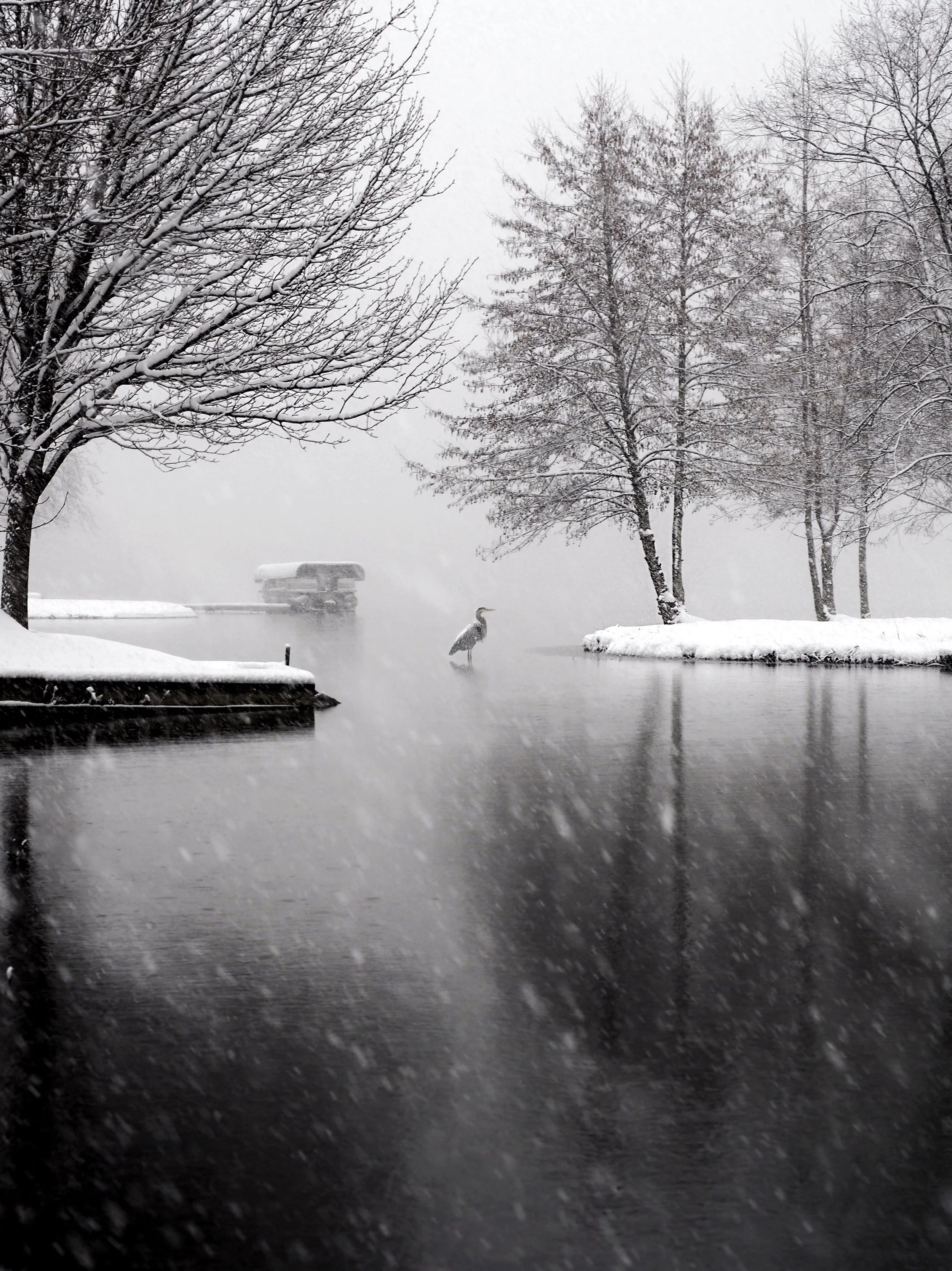 Griswold-Photography-Print-Sample7.JPG