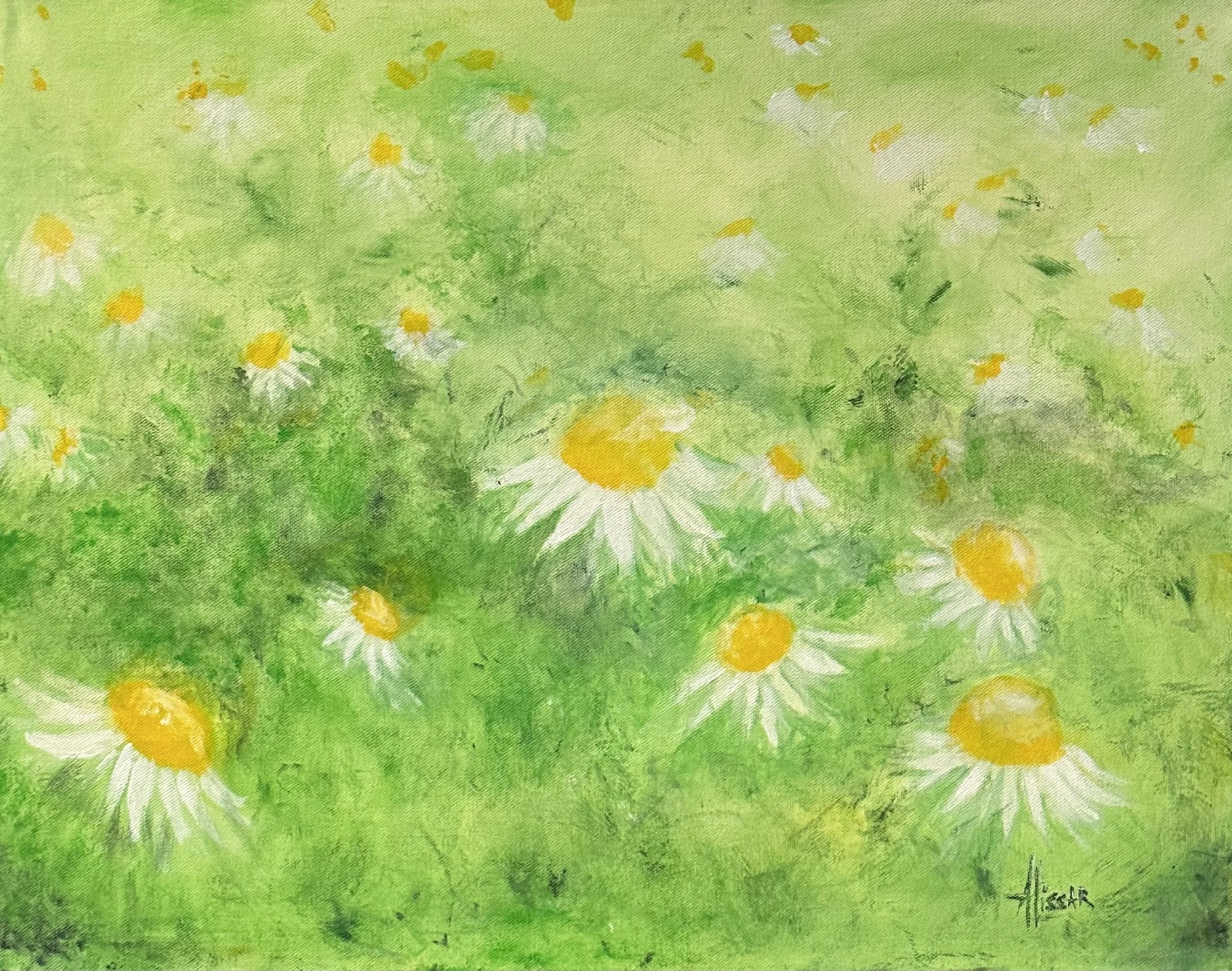 Field of Daisies