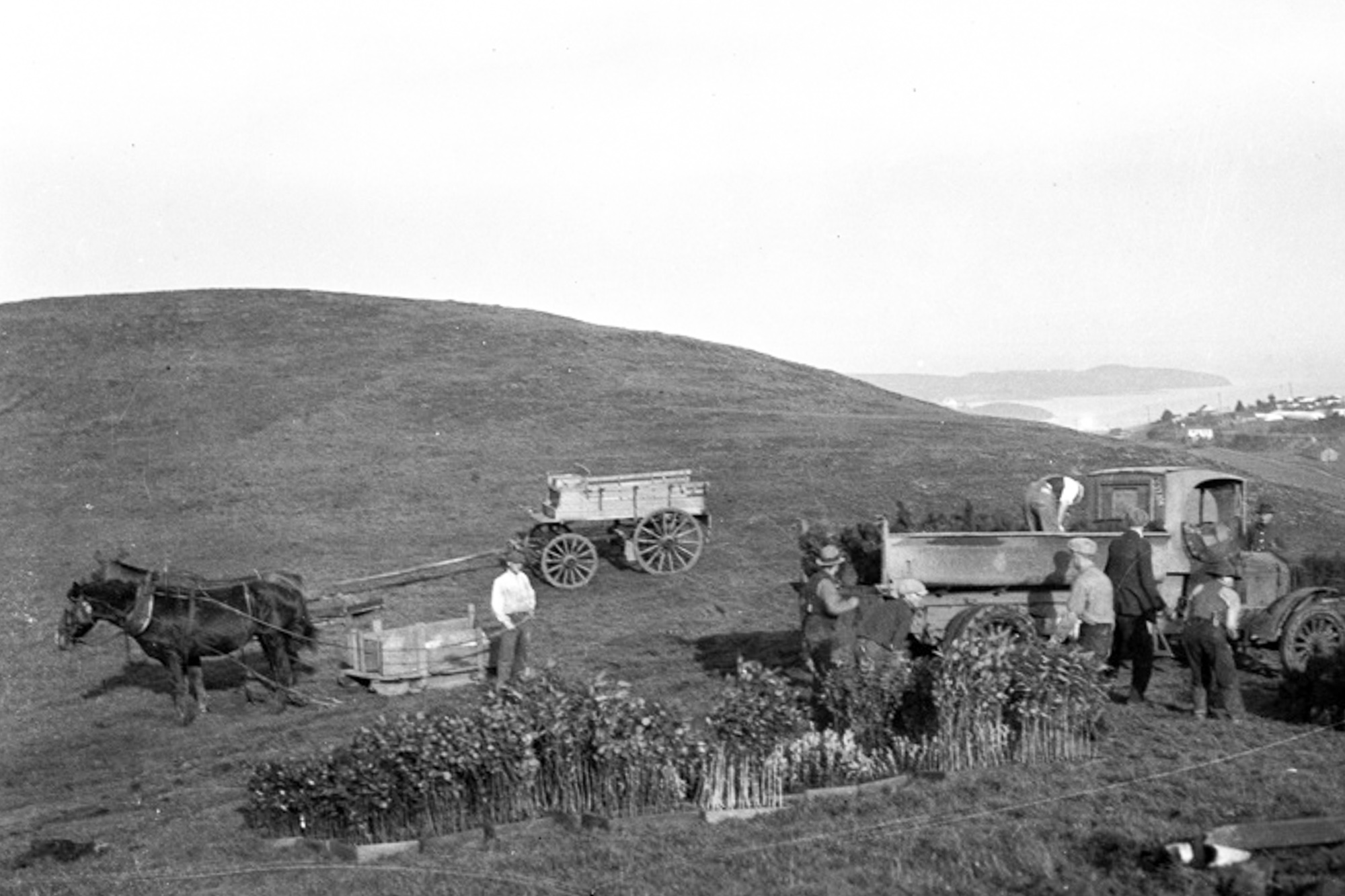wnp14.0069.jpg