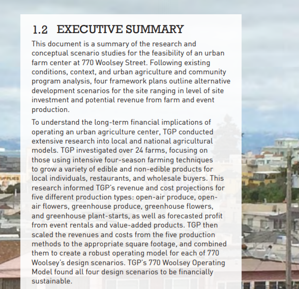 executive summary screen grab.png