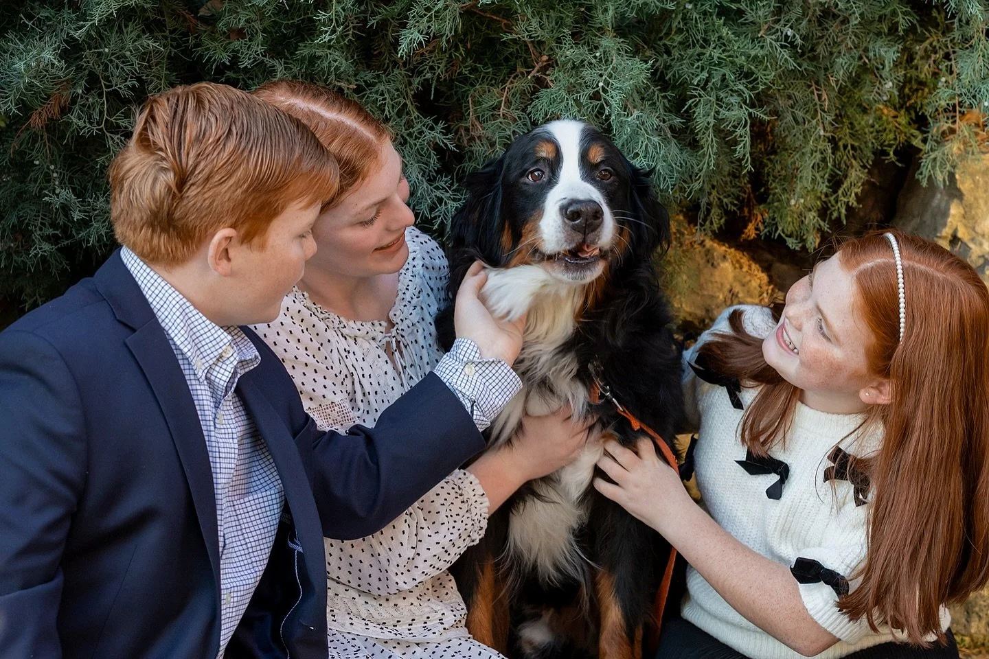 The 4th child, always demanding all the attention 🐾