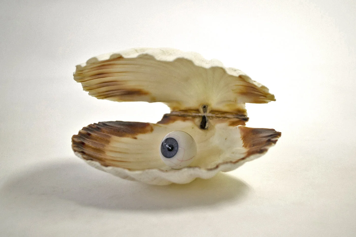 John_Jakobsson_konstnar_skulptur_snacka_shells_oga.jpg