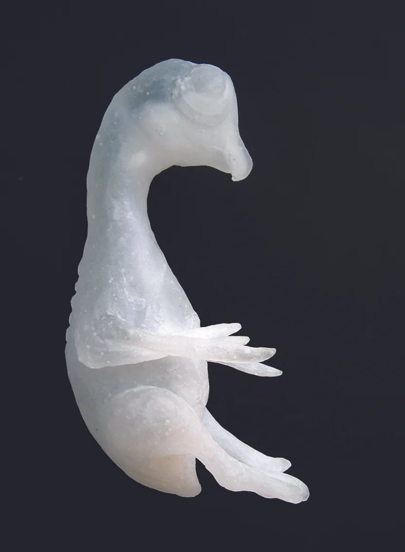 John_Jakobsson_konstnar_skulptur_crippled_little_phoenix.jpg