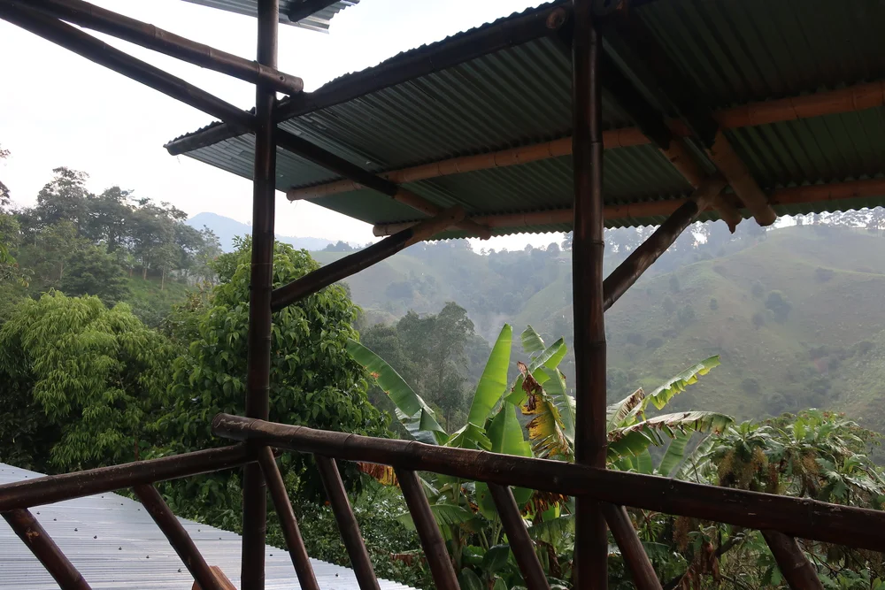 coffee farm roof.jpg