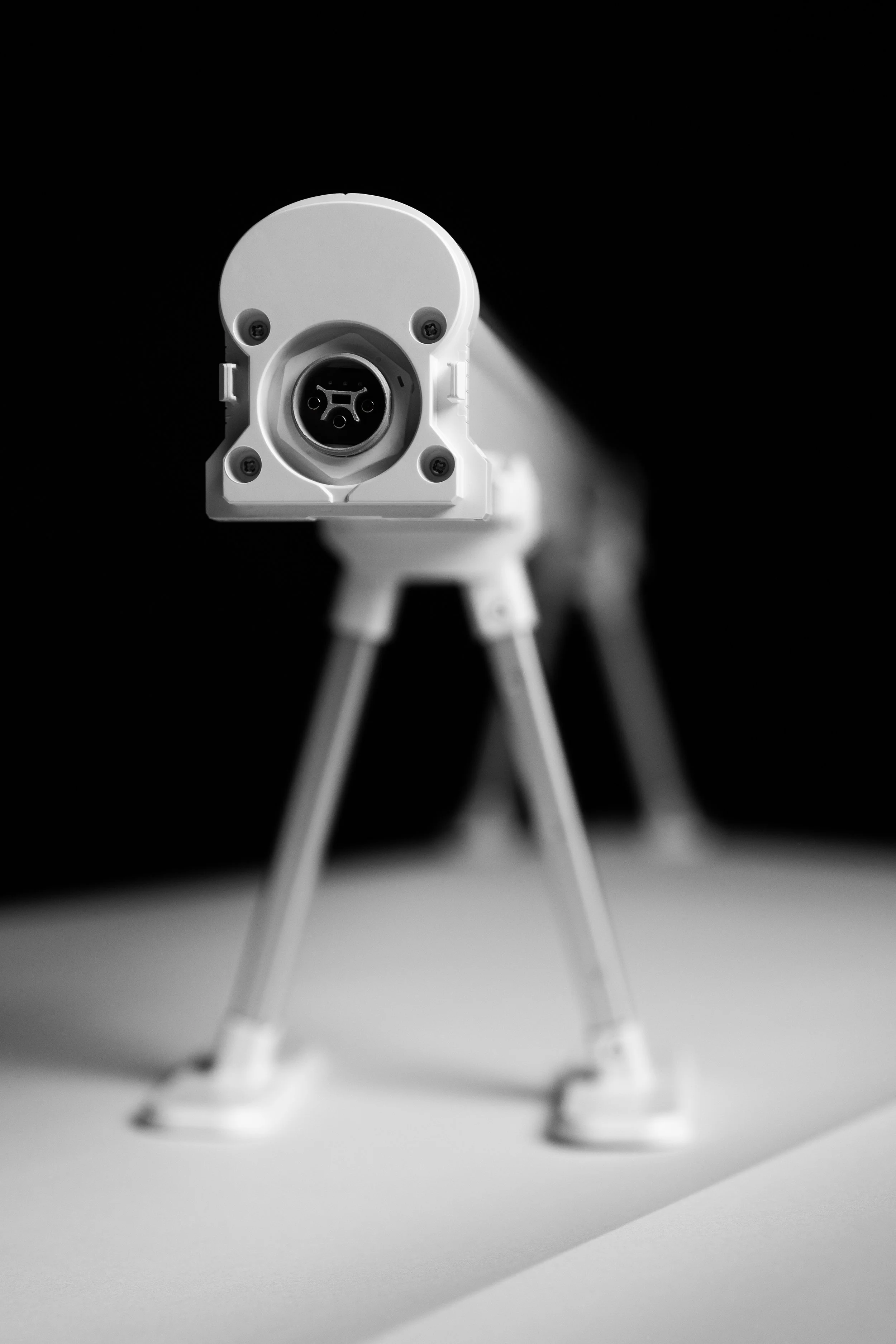 FAVEN LIGHTS (5).jpg