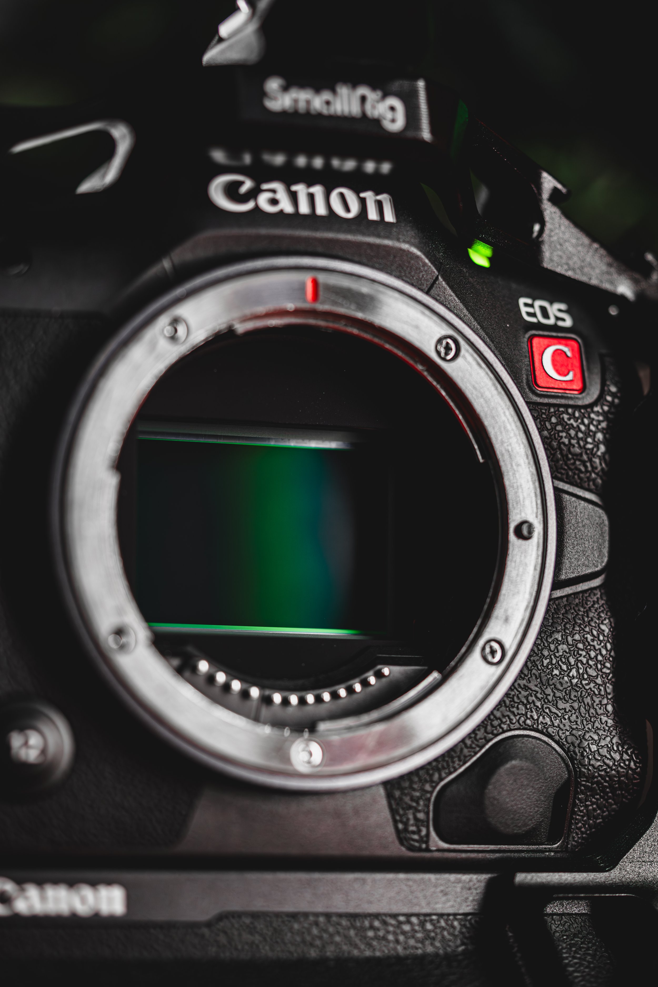 canonr5c-10.jpg
